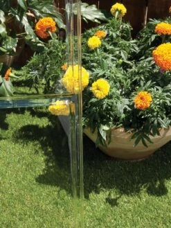 Canopia® By Palram Harmony™ Greenhouse, 6' -Backyard Bloomers 8588022 005V tif