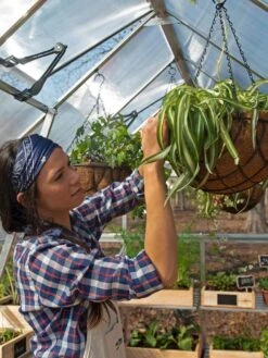 Canopia® By Palram Balance Greenhouse, 8' X 12' -Backyard Bloomers 8588023 07V jpg