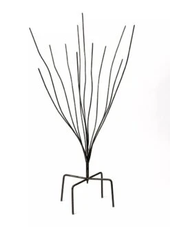 Bottle Bush 7 Bottle Bush -Backyard Bloomers 8588047 0697