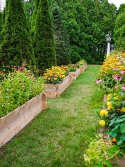 Farmstead Cedar Raised Garden Beds, 2' 15 Farmstead Cedar Raised Garden Beds, 2' -Backyard Bloomers 8588137 06V tif