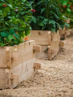 Farmstead Cedar Raised Garden Beds, 3' 8 Farmstead Cedar Raised Garden Beds, 3' -Backyard Bloomers 8588144 02V tif