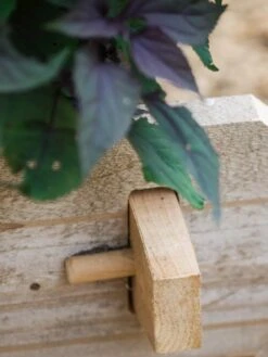 Farmstead Cedar Raised Garden Beds, 2' 16 Farmstead Cedar Raised Garden Beds, 2' -Backyard Bloomers 8588144 12V tif