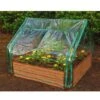 Extendable Cold Frame Greenhouse 1 Extendable Cold Frame Greenhouse -Backyard Bloomers 8588247 03V extendable cold frame greenhouse