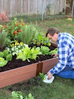 Composite Raised Bed With 1" Boards, 11" -Backyard Bloomers 8588274 02V tif