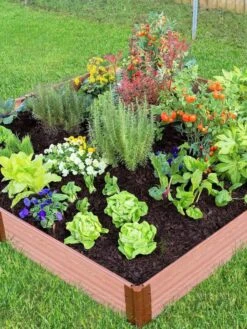 Composite Raised Bed With 1" Boards, 11" -Backyard Bloomers 8588274 03V tif