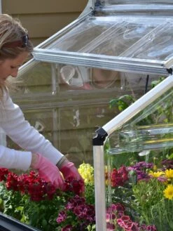 Canopia® By Palram Plant Inn™ Raised Bed Greenhouse, 4' X 4' -Backyard Bloomers 8588308 04V tif