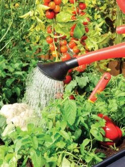 Canopia® By Palram Plant Inn™ Raised Bed Greenhouse, 4' X 4' -Backyard Bloomers 8588308 06V tif