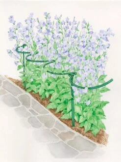 Tidy Path Supports -Backyard Bloomers 8588403 003 1