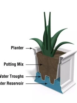 Fairfield Self-Watering Patio Planters, 20” X 36” -Backyard Bloomers 8588417 17V tif