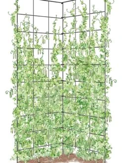 Two Panel Folding Trellis -Backyard Bloomers 8589053 002Z tif