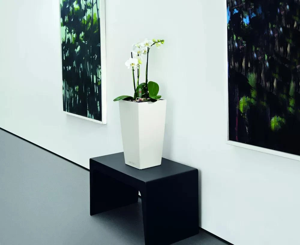 Lechuza® Cubico Color Tall Self-Watering Planters 6 Lechuza® Cubico Color Tall Self-Watering Planters - Image 4