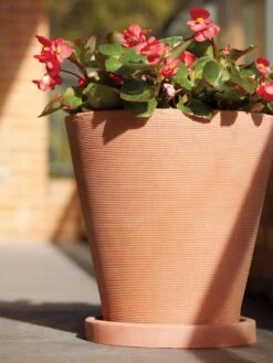 Universal Round Planter Saucers -Backyard Bloomers 8589526 001V tif