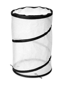 Pop-Up Tomato Accelerator -Backyard Bloomers 8589749 032 tif