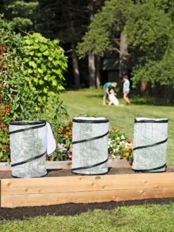 Pop-Up Tomato Accelerator -Backyard Bloomers 8589749 2212 tif