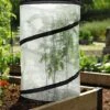Pop-Up Tomato Accelerator -Backyard Bloomers 8589749 4171 pop up tomato plant protector and accelerator tif