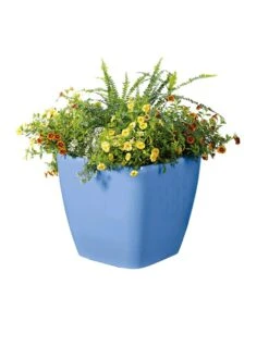 Viva Square Self-Watering Rolling Planter, 14" Diameter -Backyard Bloomers 8589777BL 6080 tif