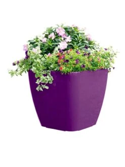Viva Square Self-Watering Rolling Planter, 17.5" Diameter -Backyard Bloomers 8589778PR 6126 tif