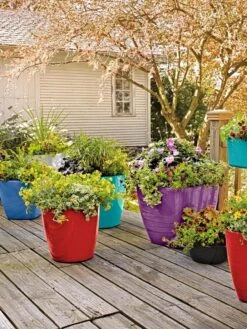 Viva Square Self-Watering Rolling Planter, 14" Diameter -Backyard Bloomers 8589778 8000 tif