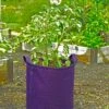 Gardener's Best® Potato Grow Bag 1 Gardener's Best® Potato Grow Bag -Backyard Bloomers 8589785PR 4191 potato grow bags with handles tif