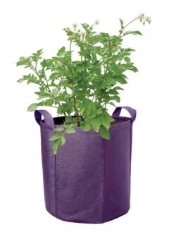 Gardener's Best® Potato Grow Bag 5 Gardener's Best® Potato Grow Bag -Backyard Bloomers 8589785 003S 3 4