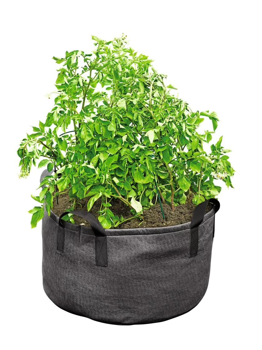 Gardener's Best® Jumbo Potato Grow Bag 3 Gardener's Best® Jumbo Potato Grow Bag