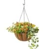 AquaSav™ Oxford Hanging Basket, 14" -Backyard Bloomers 8589789 028 tif