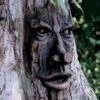 Friendly Ent Tree Face -Backyard Bloomers 8589841 001v