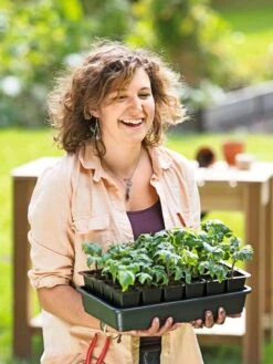 Growease Seed Starter Kit -Backyard Bloomers 8589987 0446 tif