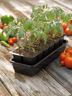 Growease Seed Starter Kit -Backyard Bloomers 8589988 1056 tif