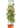 Gardener's Best® Tomato Grow Bag Set 2 Gardener's Best® Tomato Grow Bag Set -Backyard Bloomers 8590013PP 151 Tomato grow bag set tif