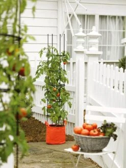 Gardener's Best® Tomato Grow Bag Set -Backyard Bloomers 8590013 5117 tif
