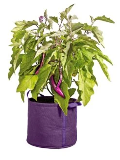 Gardener's Best® Universal Grow Bag 12 Gardener's Best® Universal Grow Bag -Backyard Bloomers 8590024PR 214 tif