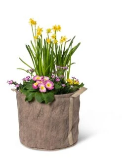 Gardener's Best® Universal Grow Bag 15 Gardener's Best® Universal Grow Bag -Backyard Bloomers 8590024 7307 tif