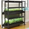 2-Tier SunLite® Garden -Backyard Bloomers 8590049 2489 grow lights with two shelves large tif