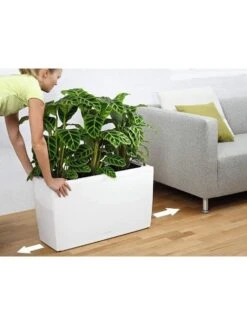 Lechuza® Cararo Rectangular Indoor Planter With Casters -Backyard Bloomers 8590295 03v