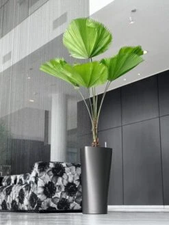 Lechuza® Delta Premium Self-Watering Planters -Backyard Bloomers 8590299 02V tif