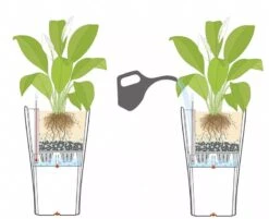 Lechuza® Delta Premium Self-Watering Planters -Backyard Bloomers 8590299 07V tif