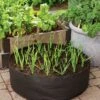 Garlic Grow Bag Kit -Backyard Bloomers 8590676 0072 growing garlic grow bag kit