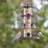 Edwardian Bird Feeder -Backyard Bloomers 8590897 00151 tif