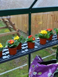 Canopia® By Palram Shelf Kit For Greenhouses, Set Of 2 Shelves 14 Canopia® By Palram Shelf Kit For Greenhouses, Set Of 2 Shelves -Backyard Bloomers 8591033 09V jpg