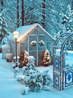 Canopia® By Palram Harmony™ Snap & Grow Greenhouse, 8' -Backyard Bloomers 8591048 06V jpg