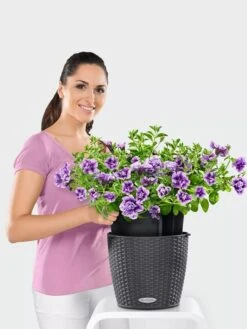 Lechuza® Nido Cottage Wicker Hanging Planter -Backyard Bloomers 8591154GT 006V tif