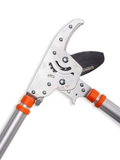 Telescoping Ratchet Loppers -Backyard Bloomers 8591285 025 tif