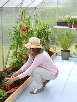 Canopia® By Palram Essence™ Greenhouse, 8' X 12' -Backyard Bloomers 8591356 04V tif