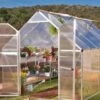 Canopia® By Palram Essence™ Greenhouse, 8' X 12' -Backyard Bloomers 8591356 15V jpg