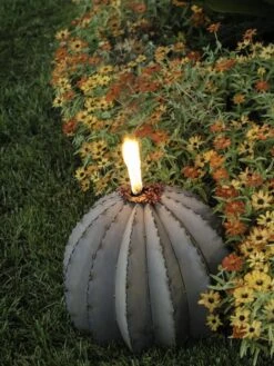 Desert Steel Golden Barrel Cactus Torches 8 Desert Steel Golden Barrel Cactus Torches -Backyard Bloomers 8591453 01V tif