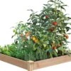 Cedar Raised Garden Bed, 4' X 4' X 6" 1 Cedar Raised Garden Bed, 4' X 4' X 6" -Backyard Bloomers 8591724 01V tif
