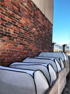 Row Shelter Accelerator 11 Row Shelter Accelerator -Backyard Bloomers 8591990 01IN tif