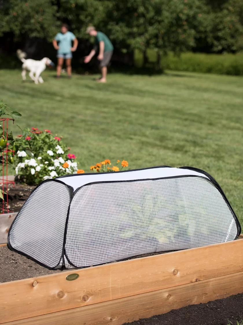 Row Shelter Accelerator 4 Row Shelter Accelerator - Image 2