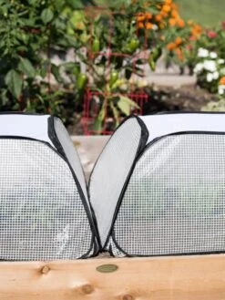 Row Shelter Accelerator 12 Row Shelter Accelerator -Backyard Bloomers 8591990 2199 tif